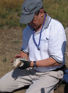 IMG_2750 IMG_2750