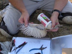 IMG_2756 IMG_2756